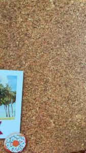 Ins chip key chain / bag charm / key holder