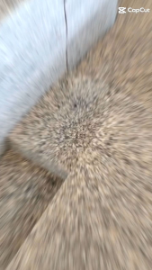 แผ่นหิน แผ่นหินแกรนิต ขนาดต่างๆสำหรับจัดสวนตกแต่งและ และงานซ่อมแซม มีหลายขนาดให้เลือก