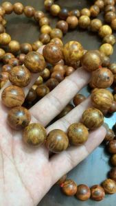 Vòng nu huyết long cao cấp.