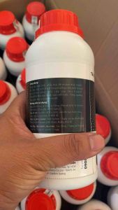[500ml] Phân bón lá Bung Đọt 360 giúp cây đâm chồi đẻ nhánh mập chồi xanh lá