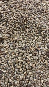 BIJI KOPI GREEN BEAN ARABICA 1Kg/1000g - KOPI MENTAH ROBUSTA | BIJI KOPI MURAH