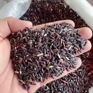 Beras Ketan Hitam 1Kg/1000g | Beras Ketan Hitam Murah