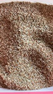 Beras Merah Organik Rendah Gula 1Kg | Beras Merah Premium Murah