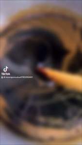 Nước màu dừa Bến Tre - 100% nguyên chất nước dừa tươi