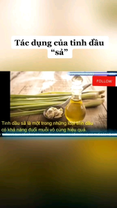 Tinh dầu sả nguyên chất Lai Châu Tinh Dầu Đuổi Muỗi Côn Trùng 500ml