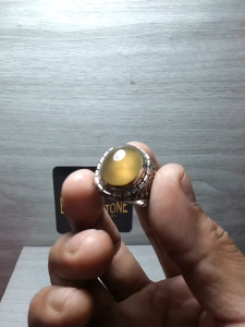 Bio Solar: Sumber Energi Ramah Lingkungan