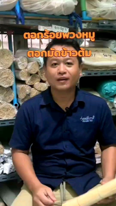 ราคาพิเศษ ตอกไม้ไผ่ตอกมัดข้าวต้มร้อยพวงหมูมัดหอมกระเทียมมัดกล้า#มัดข้าว1โลตอกเส้นขาวสวย