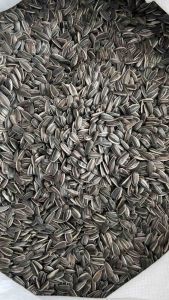 (คัดเกรด)ทานตะวันนกเม็ดเล็ก ฮังการีนอก ธัญพืชสำหรับนกแก้วและสัตว์ฟันแทะ เมล็ดทานตะวันลายไทย ดำ(นอก)