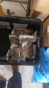 IKAN BILIS BELAH TRADISIONAL GRED RANGUP 250g/500g/1kg