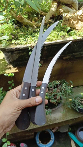 Paket Gergaji Bonsai Mini SQ Super Tajam Siap Pakai
