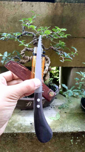 Gergaji Bonsai SQ 08 plus sarung Super mini super tajam siap pakai
