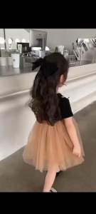 1-6yrs Baby Princess Tulle Dress Summer Baby Puffy Mesh Dress 1-6岁宝宝公主纱裙夏季宝宝连衣裙儿童纱裙连衣裙