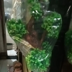 bunga hias sudut bola bola tinggi 130 cm lengkap dg pot