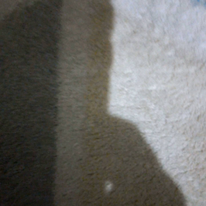 Stang RZR Vixion Lama & Raiser Stang RZR