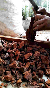 1kg pine bark/kulit pinus cacah media tanam anggrek terbaik