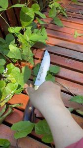 Cặp dao làm bếp TAKAYUKI khâu mạ đồng sắc bén