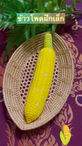 ข้าวโพดปลอม (ราคาต่อ1 ฝัก) ลดราคาสุดๆ ราคาดังกล่าวไม่รวมภาชนะ วัสดุผลิตจากยาง จับแล้วนิ่มเหมือนจริง