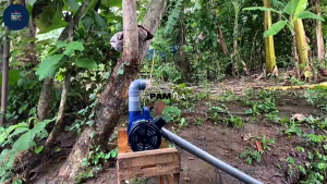 MESIN POMPA AIR SHIMIZU MODIFIKASI ALKON PIPA 2 INCH