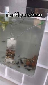 กรองซุปเปอร์ กรองสิ่งสกปรกในตู้ปลา 5.5x5.5x14cm ใช้ได้กับปั้มลมทุกชนิด ออกซิเจนตู้ปลา ใยแก้วอาหารปลา หัวทราย สายออกซิเจน