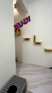 Cat  Room Wall Playground Lompatan Dinding Kucing Cat wall DIY/DL2