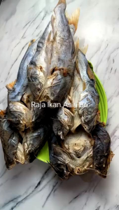 Ikan Asin Duri / Baung / Dukang / Jambal Roti / Otek / Ote / O Te / Blukang kualitas Super Premium