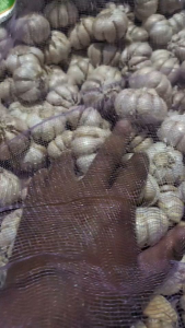 Bawang Putih Honan Banci 500 gr bersih fresh