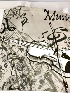 Piano Violin Bag Student Design Fashion A4 钢琴直款包学生装音谱包