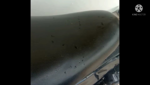 silincer knalpot racing Norifumi GTX untuk segala jenis motor