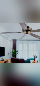 Quạt trần 5 cánh hợp kim