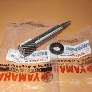 As pully plus seal as pully Yamaha Mio sporty Mio smile Mio lama Mio soul karbu Fino karbu as puly