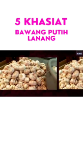 Kapsul Bawang Lanang Obat Herbal Hipertensi Kanker Usus Kolesterol