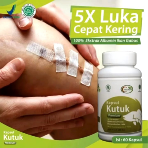 Kapsul Kutuk Ektra Ikan Gabus Obat Luka/Pasca Operasi