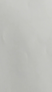 Benih biji Lobak daun isi (1000 butir) Bibit lobak daun / lalap