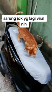 SARUNG JOK MOTOR WATERPROOF Ddf