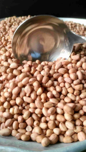 ลูกค้า 1 kg ถั่วลิสง (ขาว) ส่งฟรีกดรับโค้ด ด้านล่าง คูปองส่วนลด ตรงใต้ภาพ และแจกคูปองตรงที่ไปกดติ