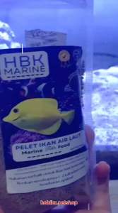 Pelet Ikan Hias Laut Marine Fish Pakan Ikan Nemo 100GR
