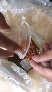cabe giling berbiji super pedas berat 100gr