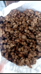 kemasan 1kg kencur ciamis enak wangi cocok untuk bumbu masakan atu jamu