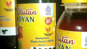 Madu Ternak Liar Hutan Original Al Madyan: Madu Berkualitas Tinggi Tidak Perlu Mahal