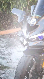 SPION WINGLET MODEL H2R STMS ALL MOGE