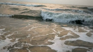 กิฟฟารีน ไบโอ ซี 1000 มก. วิตามิน c วิตามินซี วิตามินซี1000 vitamin c วิตามินซี1000mgแท้ vitamin c 1000 mg giffarine