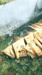 Avatar Gordon Besgel