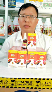 ATP B12 tăng lực - tăng hừng - tăng sung căng - tăng bo trên gà chim