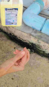 คลอรีนน้ำ10% 5กก kg โซเดียมไฮโปคลอไรท์ ยี่ห้อราชาชูรส มี มอก. กำจัดเชื้อ ซักผ้าขาว ถัง5ลิตร