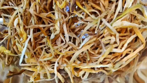 ดอกไม้จีน 10 กรัม จำฉ่าย ขนาด ของดอกไม้จีนแห้ง