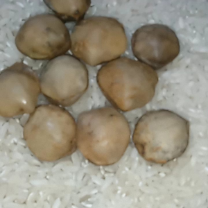 10 set kijing kancing sabdodadi