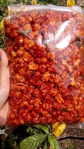 TIkTAK pilus kencur pedas original daun jeruk 500gr