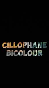 Kertas Bunga Bicolor & Pembungkus Kertas untuk Bunga