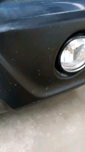 Magic Gatas Protectant 1L w/ carnauba Cleans and ProtectsWorks inside&Out