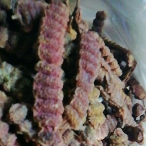 ฝักส้มป่อยใหม่ปีนี้1kilo(มีสินค้าพร้อมส่ง)​